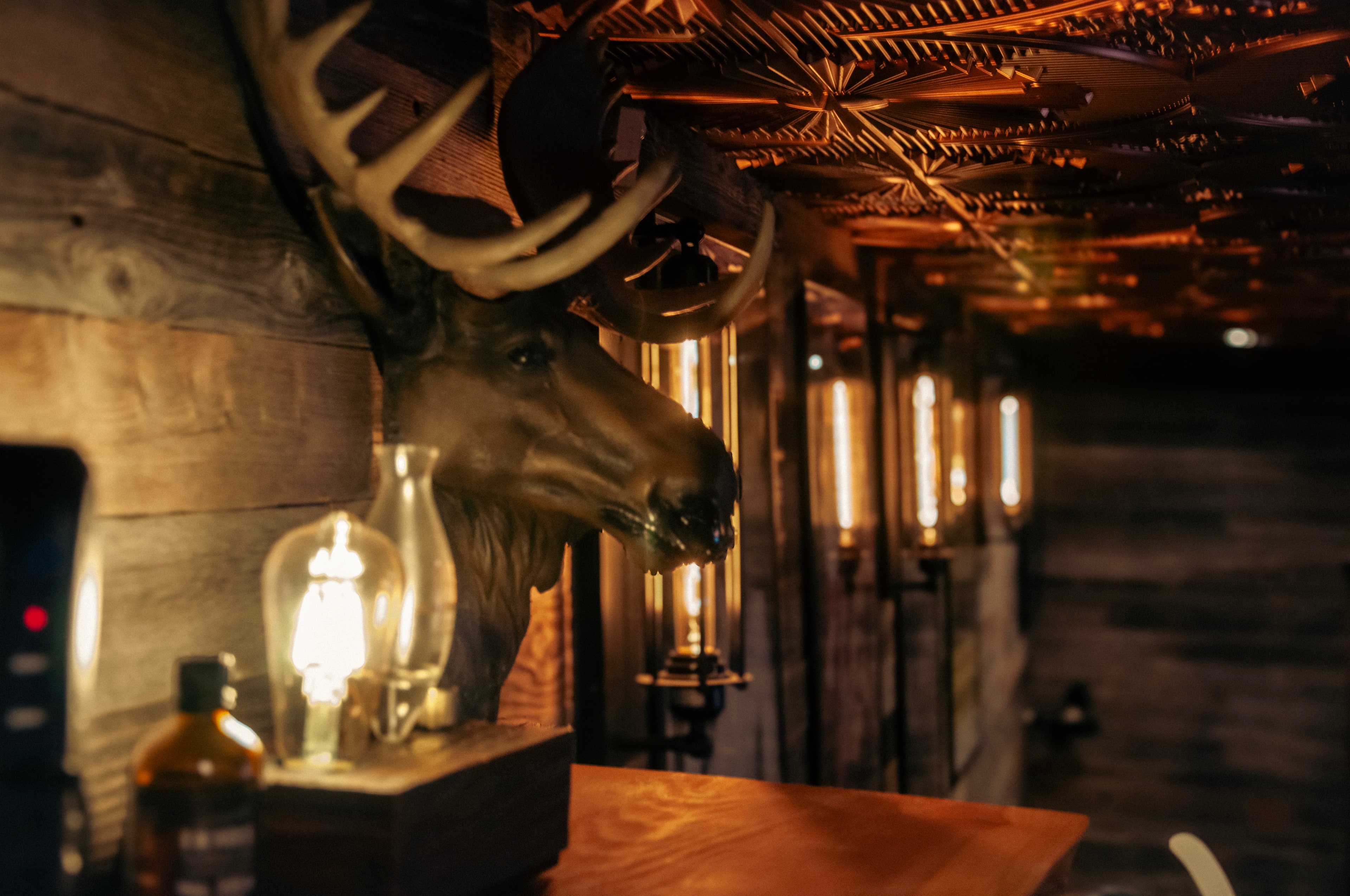 The Vinyl Vault — moose mount and Edison lighting detail